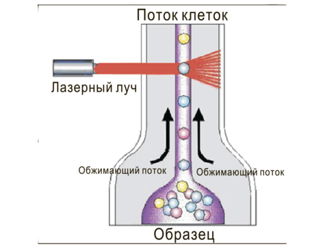 Анализатор соматических клеток в молоке методом проточной цитометрии «BioUniScan»
