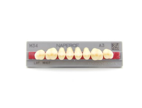 Yamahachi - жевательные зубы