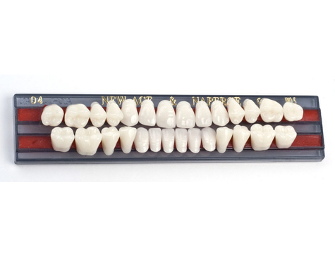 Yamahachi - полный гарнитур зубов