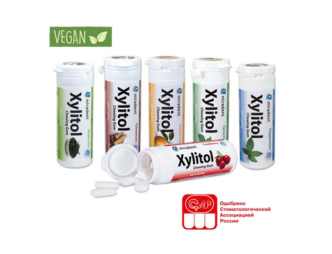 Жевательная резинка Xylitol Chewing Gum (разные вкусы)