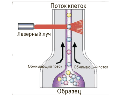 Анализатор соматических клеток в молоке методом проточной цитометрии «BioUniScan»
