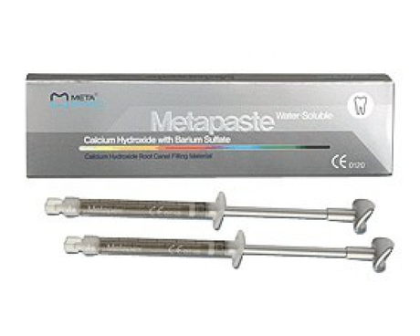 Metapaste (2 шпр х 2,2 г)